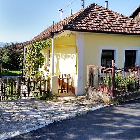 Lately Renovated Country House Trencin Exterior photo