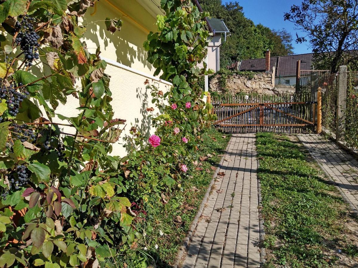 Lately Renovated Country House Trencin Exterior photo
